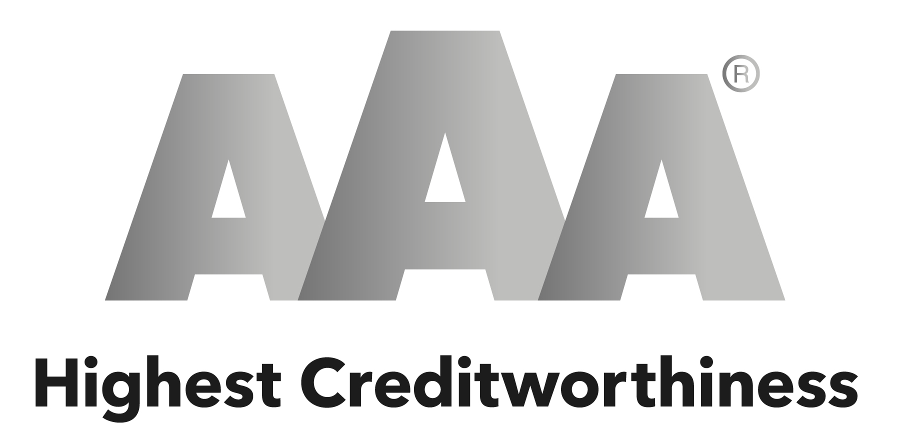 Dun & Bradstreet Silver Tanúsítványt kapott a Felületkémia Kft.